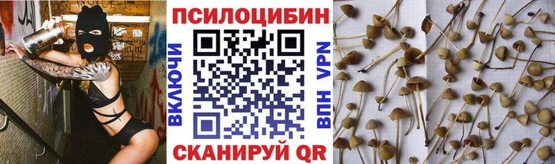 Псилоцибиновые грибы прущие грибы  Белово 